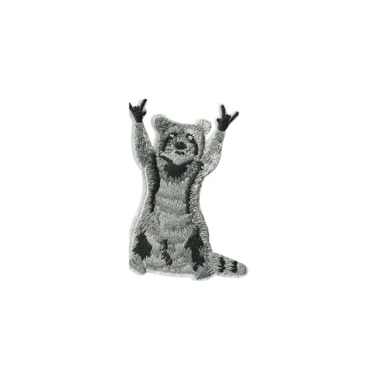 Raccoon Patch