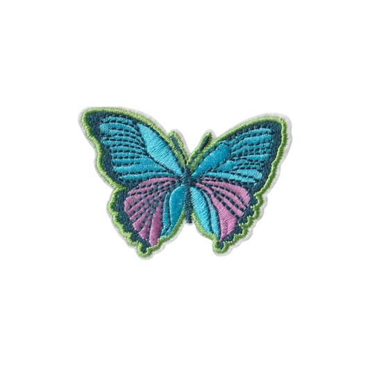 Small Blue and Pink Butterfly